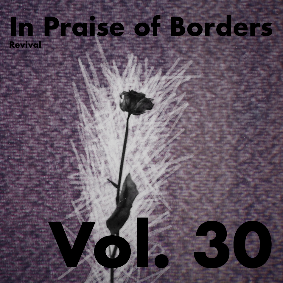 IPB Volume 30 cover